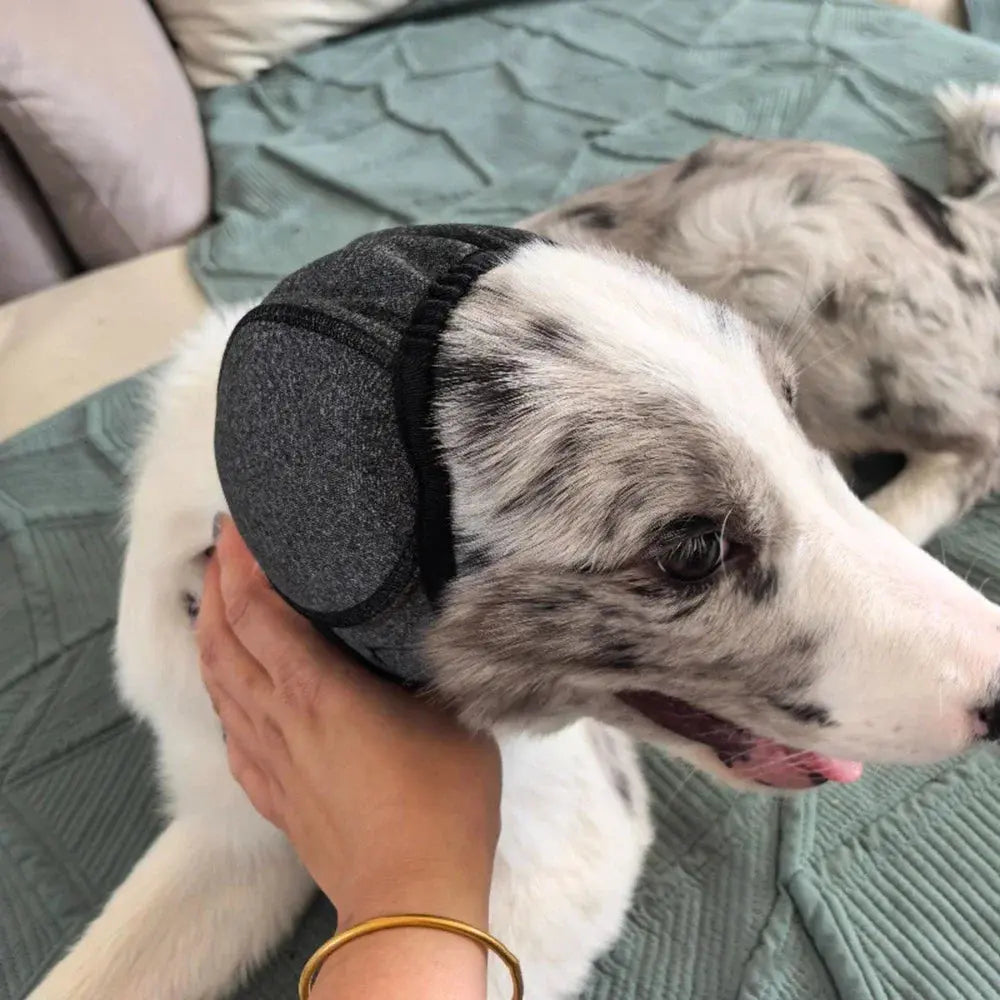 Dog Ear Muffs Noise Reduction Waterproof Headgear - No Furs Given