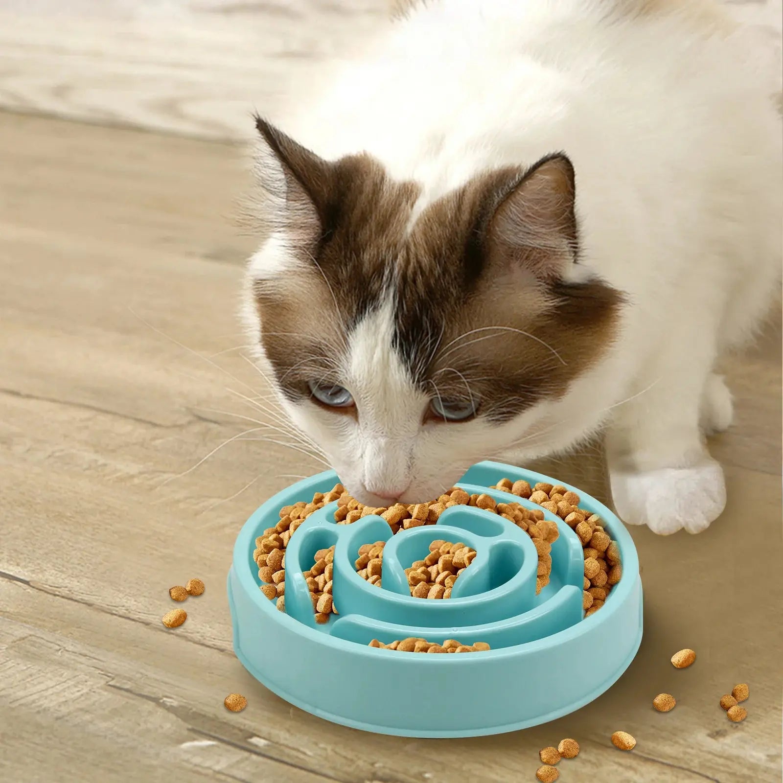 Non-Slip Anti-Gulping Slow Feeder Bowl for Dogs - No Furs Given