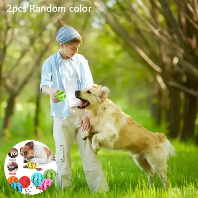 Interactive Dog Treat Dispenser Chew Toy for All Breeds - No Furs Given